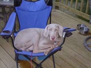 july_pictures_015.jpg