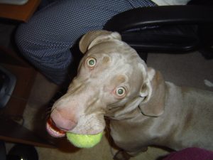 may_pictures_026.jpg